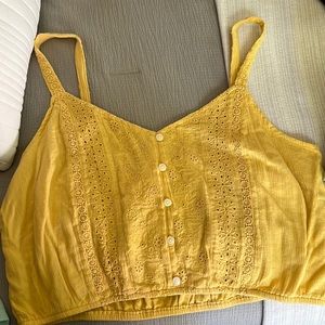 American Eagle Crop Top